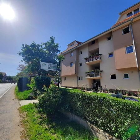 Smestaj Milenkovic Soko Banja Exterior foto