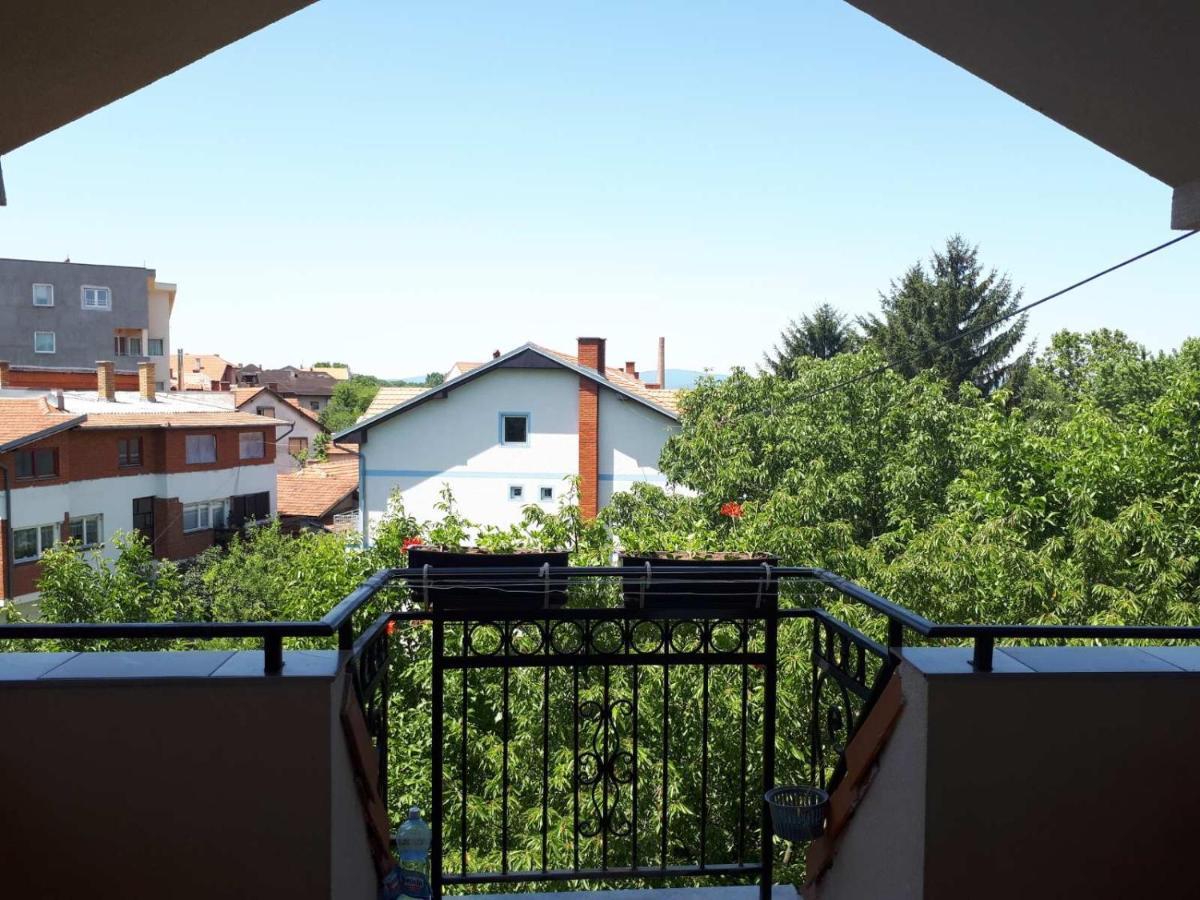 Smestaj Milenkovic Soko Banja Exterior foto