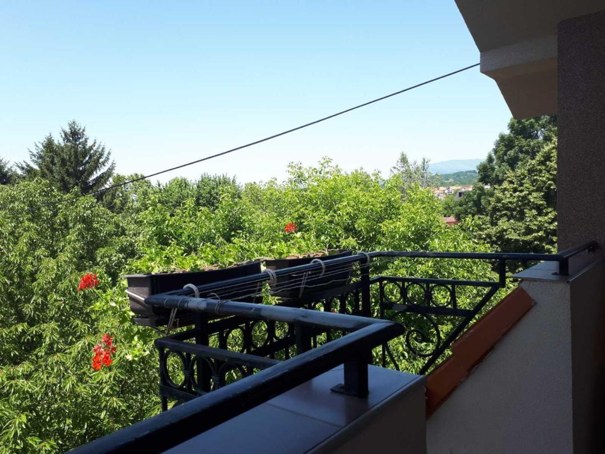 Smestaj Milenkovic Soko Banja Exterior foto